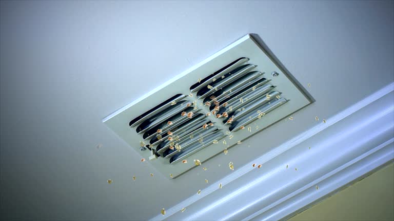 Best Commercial Air Duct Cleaning  in Mastic Beach, NY
